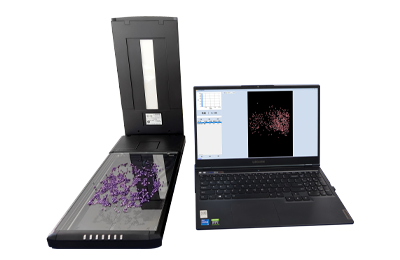 大米加工精度检测仪IN-DMJ